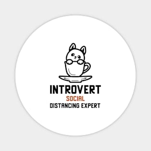 Introvert Social Distancing Expert Magnet